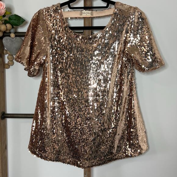 Altard State Short Sleeve Sequin Rose Gold Blouse‎ Size Small - Picture 3 of 7